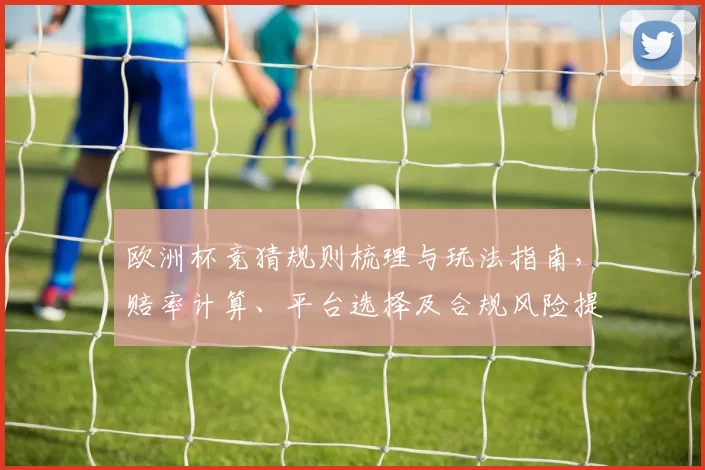欧洲杯竞猜规则梳理与玩法指南,赔率计算、平台选择及合规风险提示