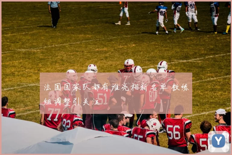 法国国家队都有谁亮相新名单 教练组调整引关注