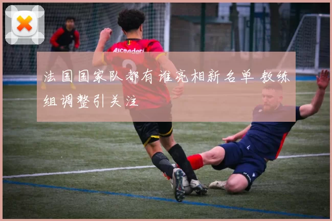 法国国家队都有谁亮相新名单 教练组调整引关注