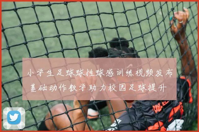 小学生足球球性球感训练视频发布 基础动作教学助力校园足球提升